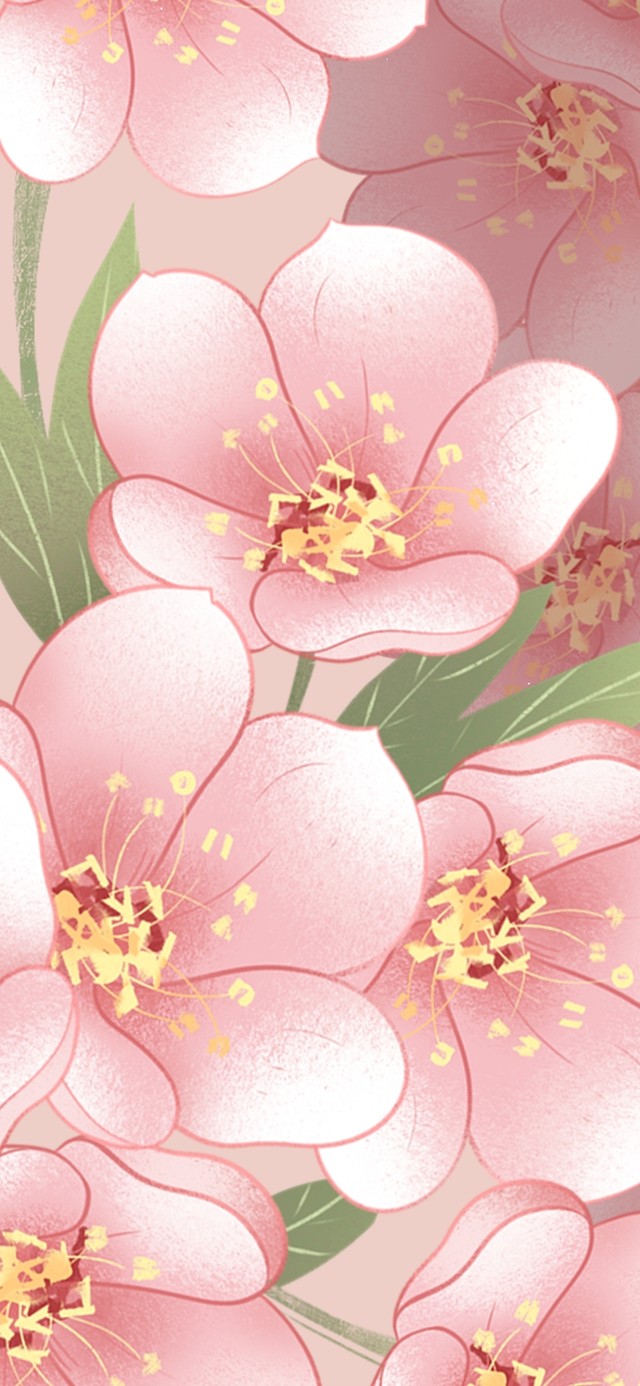 桃花笑 插画壁纸