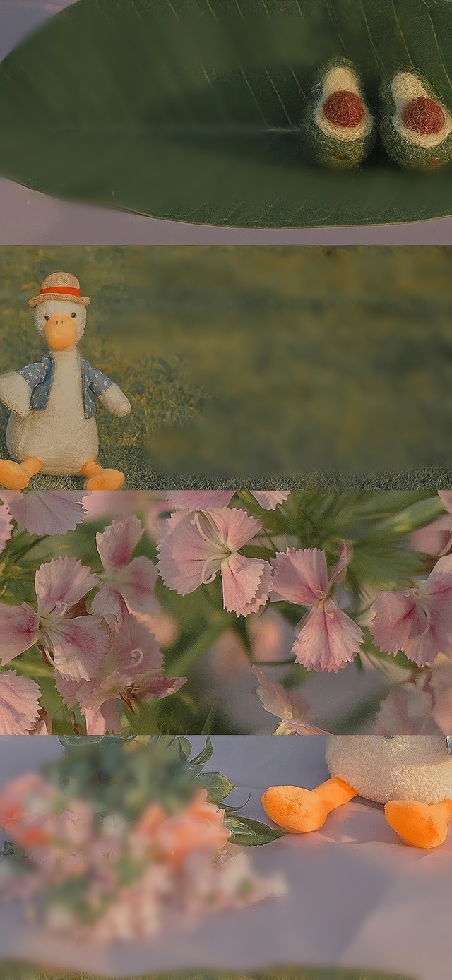 小黄鸭and牛油果