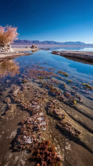 盐沼晴川，水映苍山