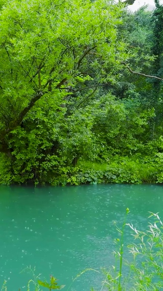 夏日清凉雨天绿林河流