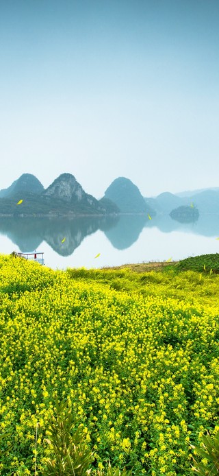 唯美青山