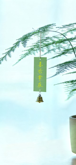 清爽桌面 情绪稳定小盆栽