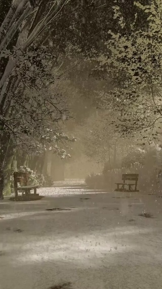 树林大雪