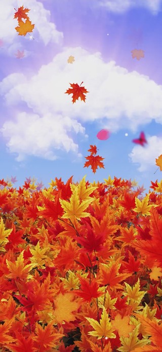 秋天的枫 风景手机动态壁纸 风景手机壁纸下载 元气壁纸