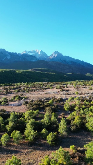 雪山之下.森林绵延l