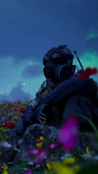 CS花海
