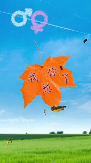 浮华苍桑，缘定情生
