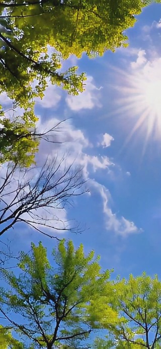 治愈晴朗的天空