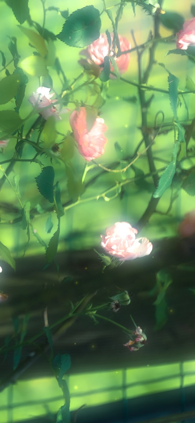 唯美治愈清新绿叶花朵