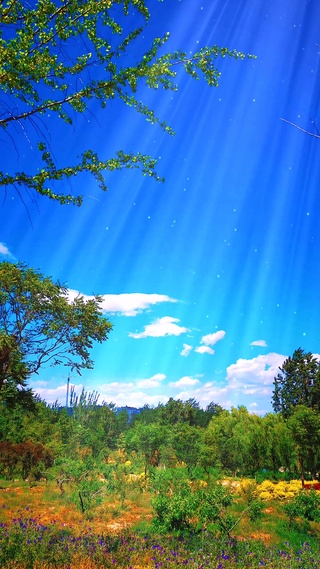 荒郊野外