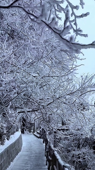 浪漫雪景