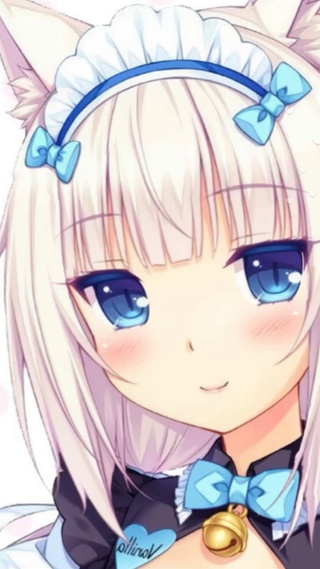 猫娘