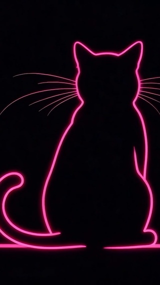 星光猫咪