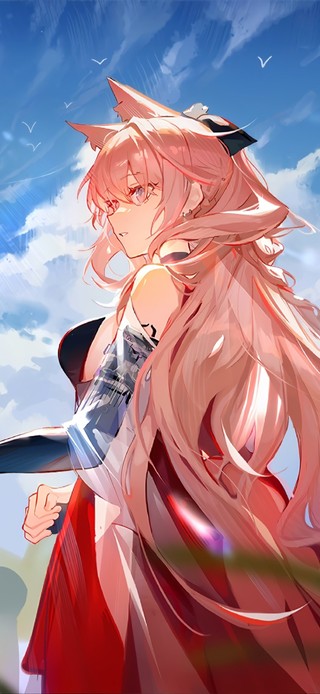 鸿雪演讲