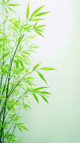 竹叶