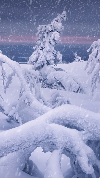 冰河雪树