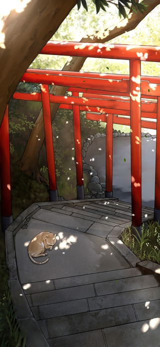 4K唯美日系邻居的猫