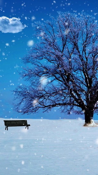 雪中孤坐，尽享宁静