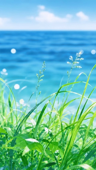 海边青草