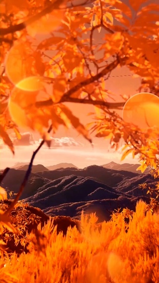 风景
