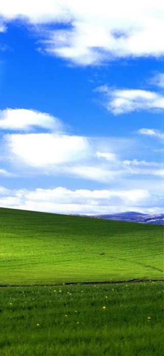 windows xp