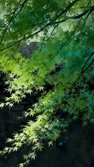 护眼绿景