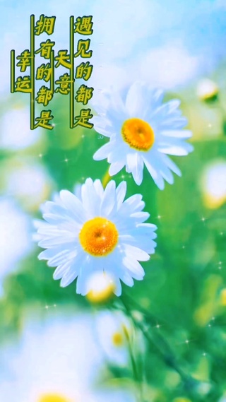 花开的时候