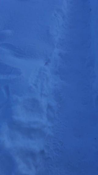 大自然中激光下的雪景
