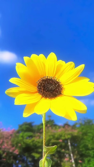 目有所忘，心有所想。