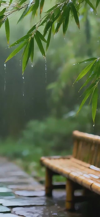 下雨竹林