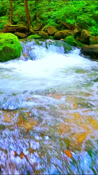 4K治愈林间流水
