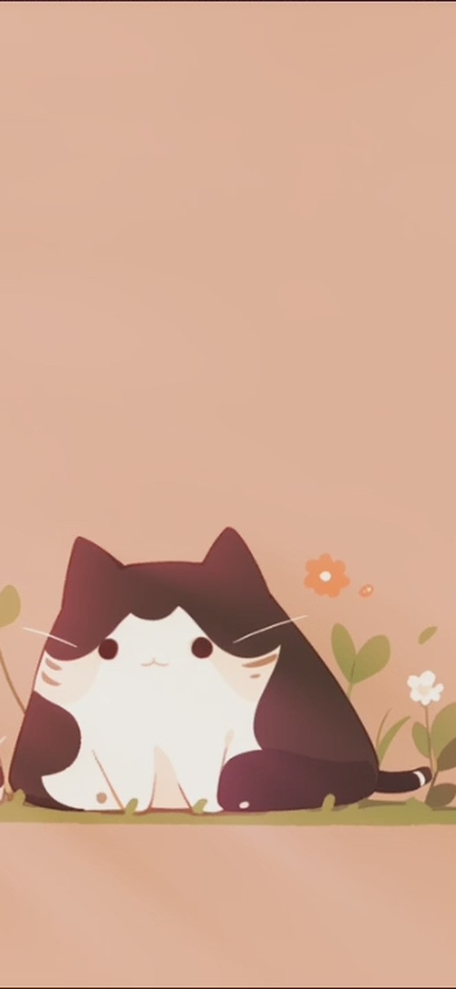 猫族