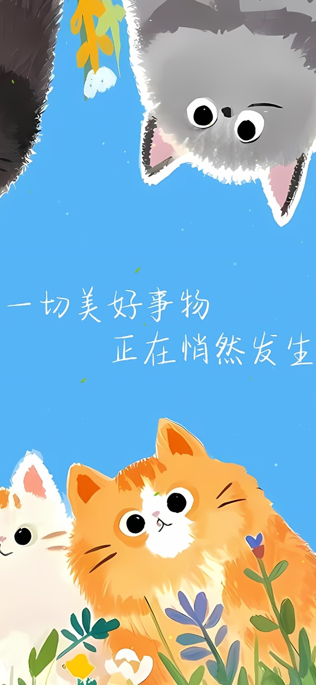 春天可爱猫咪
