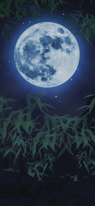 竹林夜景夜空月亮