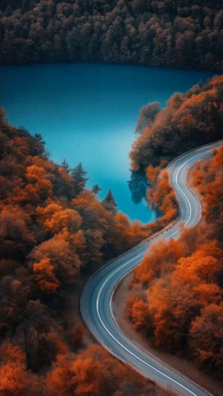 风景
