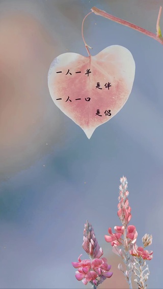 伴侣