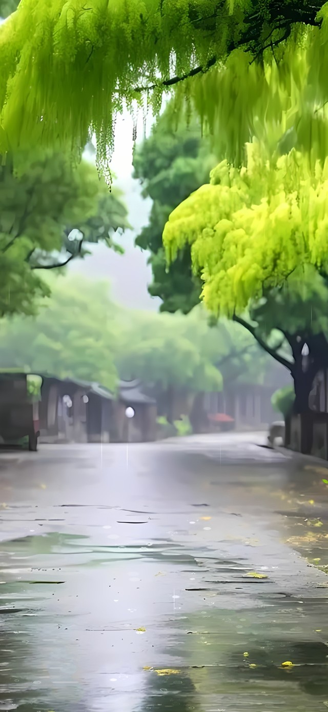 雨天绿色大树