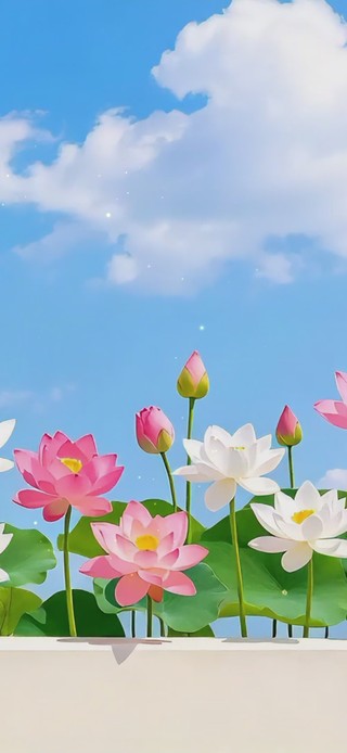蓝天荷花