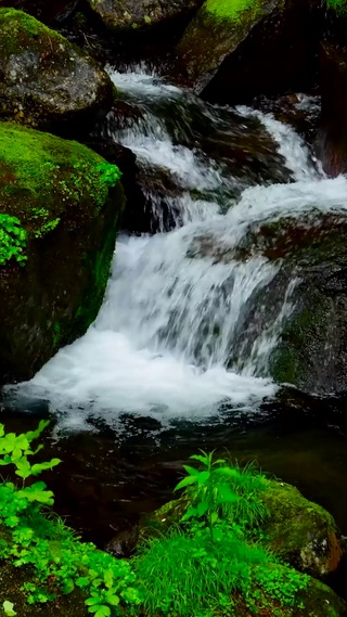 清凉养眼溪水