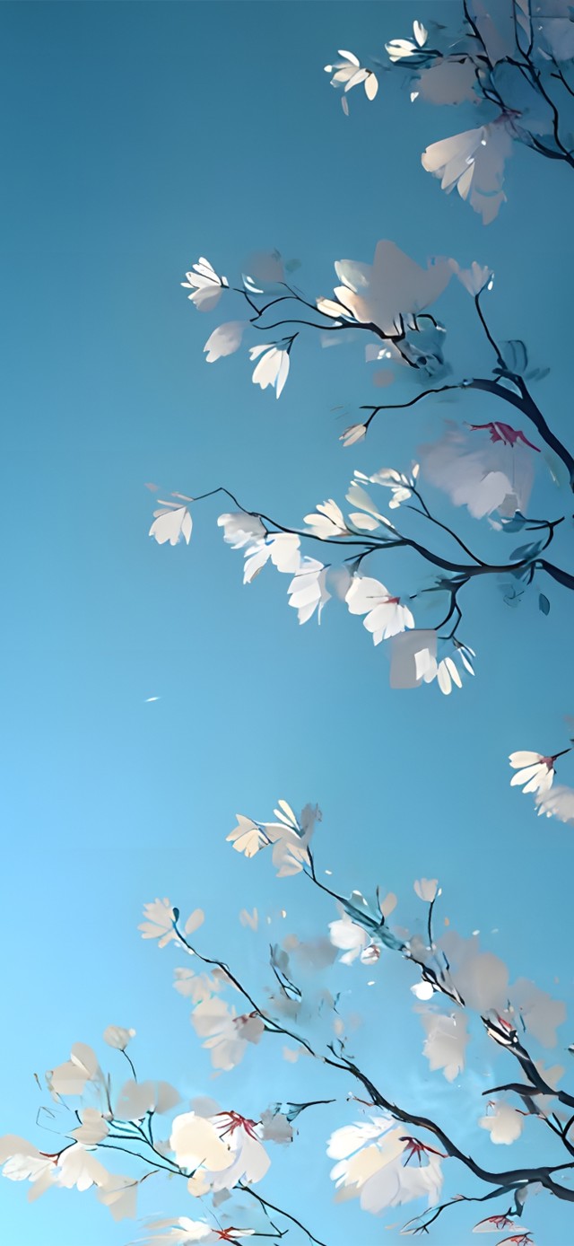 4K 中式 禅意 花开忘忧