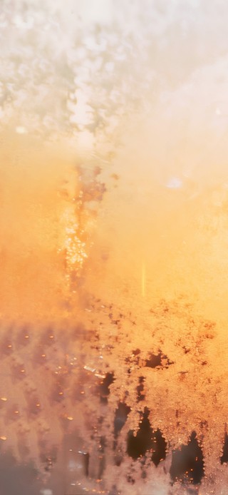 2025尾声~请全力以赴！