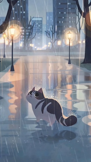 雨中猫猫漫步