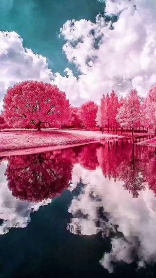 美景如画