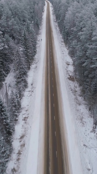 雪天森林公路