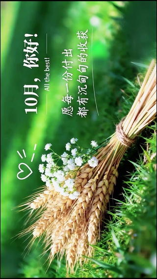 10月你好-收获满满