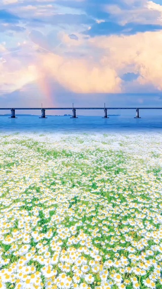 海边小雏菊花海