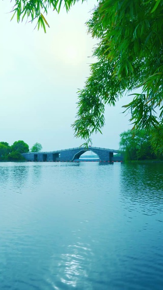 柳岸桥影