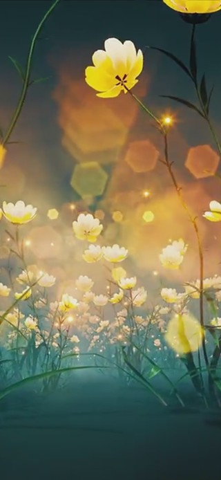 黄色花花