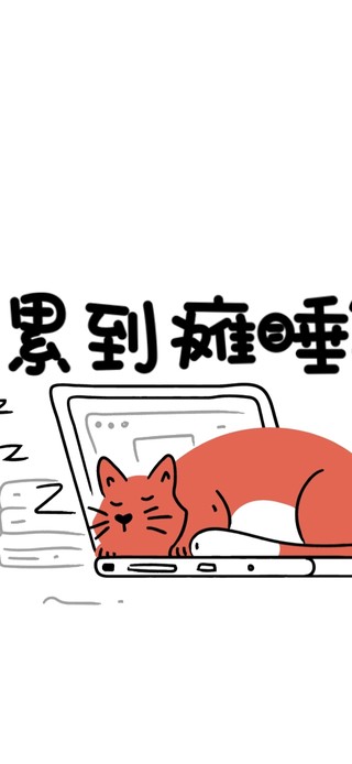 累到瘫睡猫咪