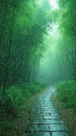 听雨是一种解压，看雨是一种宣泄